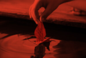 red hover